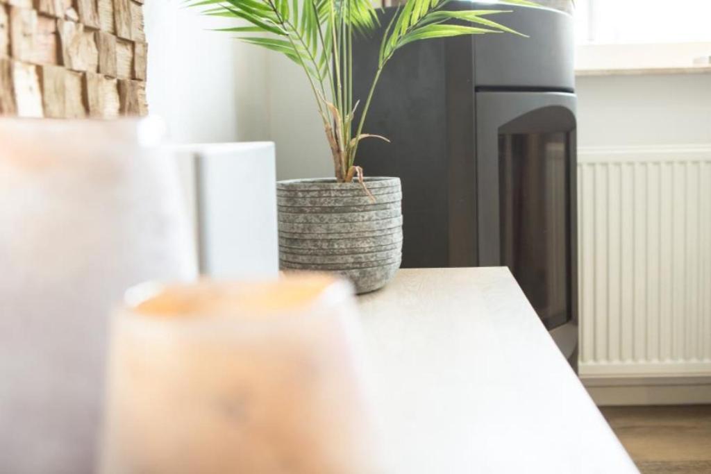 Weidevilla Xxl Hollum  Exteriér fotografie